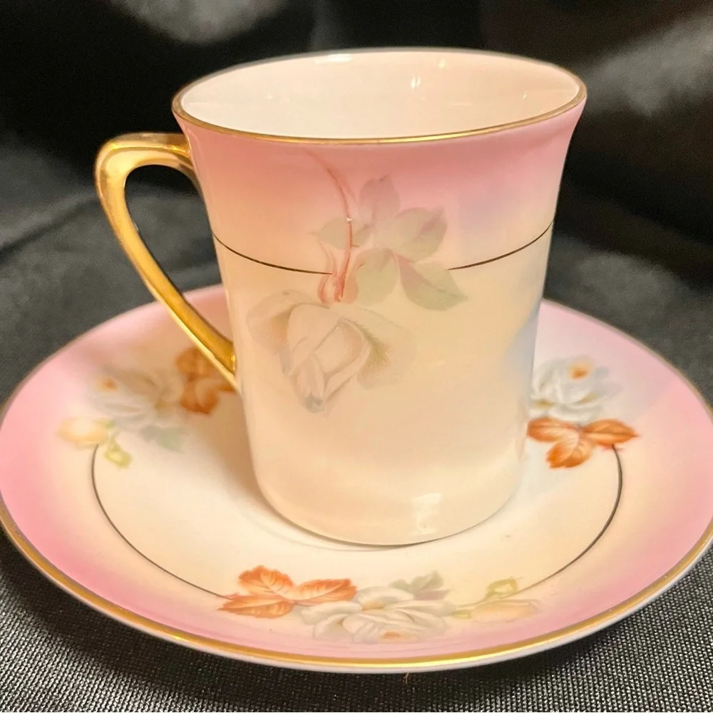 Antique Royal Rudolstadt Chocolate Cup Saucer Hand Painted F. Kahn Mint Cond